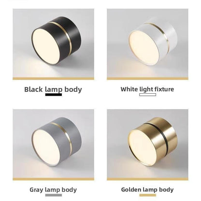 Round Surface Mounted LED Ceiling Light