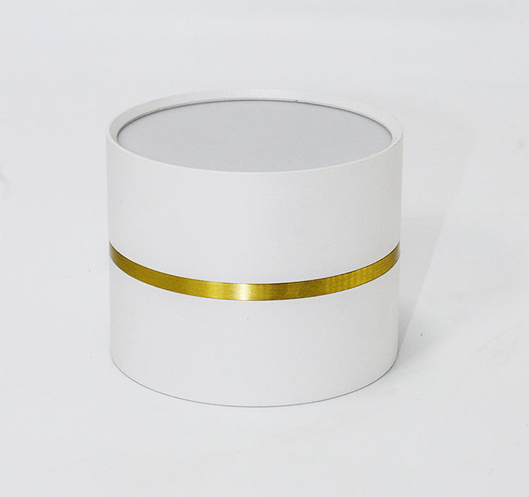 Round Surface Mounted LED Ceiling Light