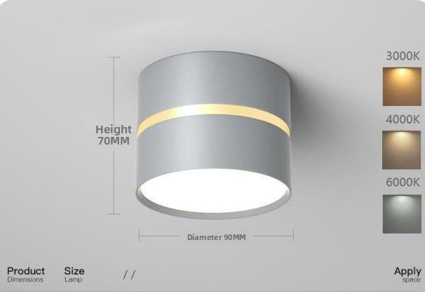 Round Surface Mounted LED Ceiling Light