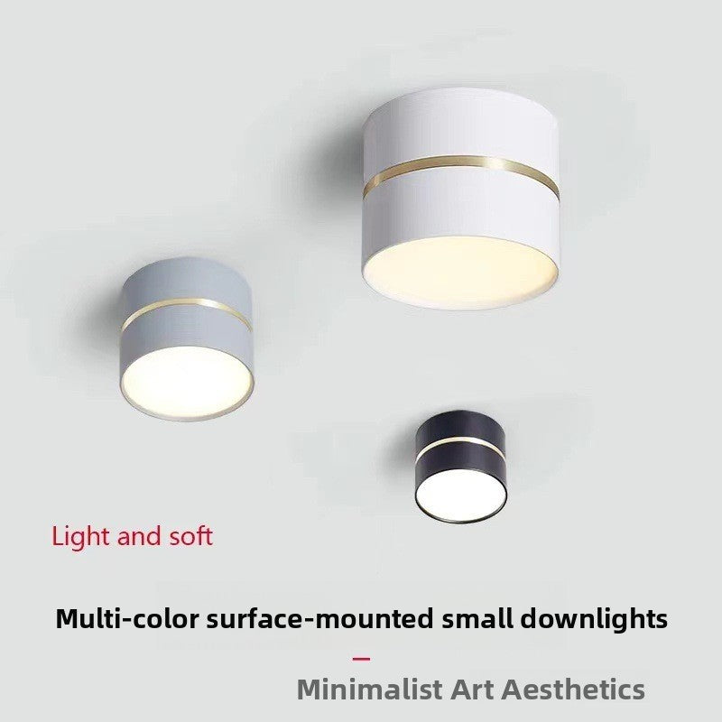 Round Surface Mounted LED Ceiling Light