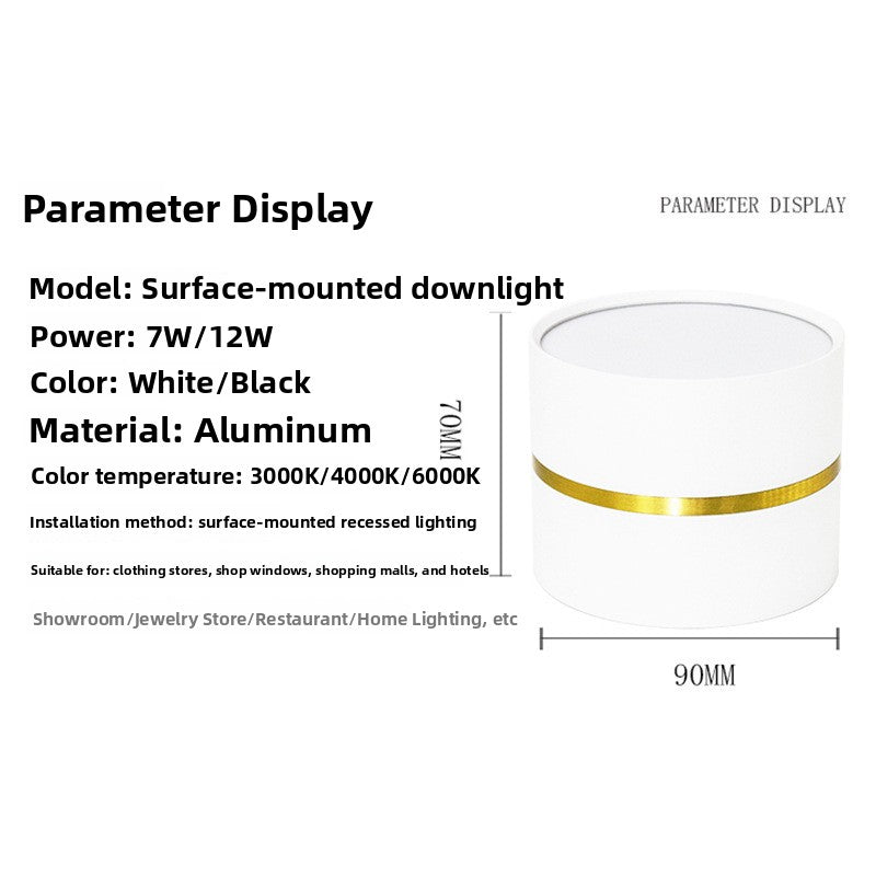 Round Surface Mounted LED Ceiling Light