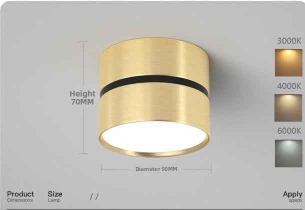Round Surface Mounted LED Ceiling Light